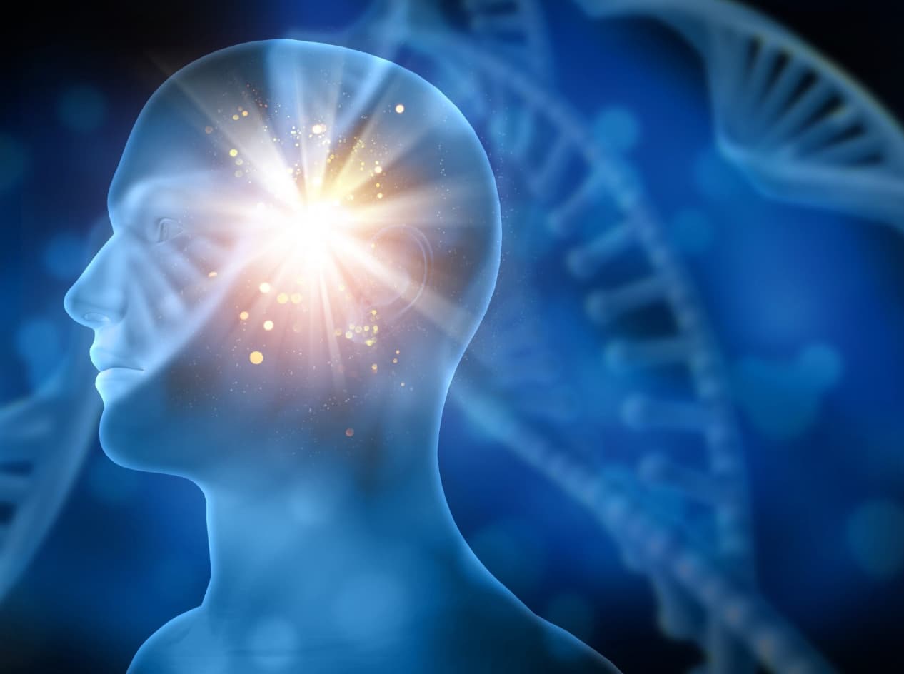 причины кокаиновой зависимости